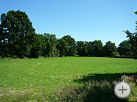 Foto Baugebiet Lindenweg