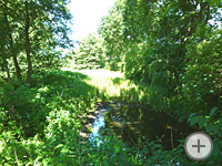 Foto Baugebiet Lindenweg